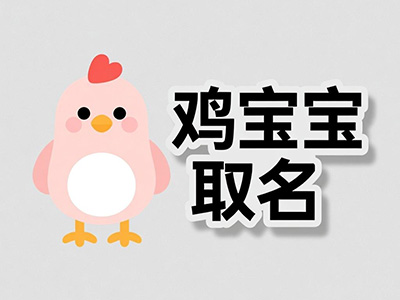 鸡宝宝取名